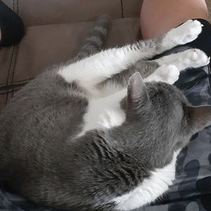 Meet your Posher, Paul